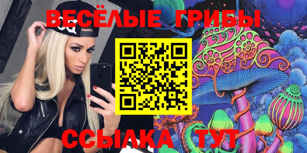 что такое наркотик  Псилоцибиновые грибы Psilocybine cubensis  Оренбург  Вход с VPN  Псилоцибиновые грибы Psilocybe 