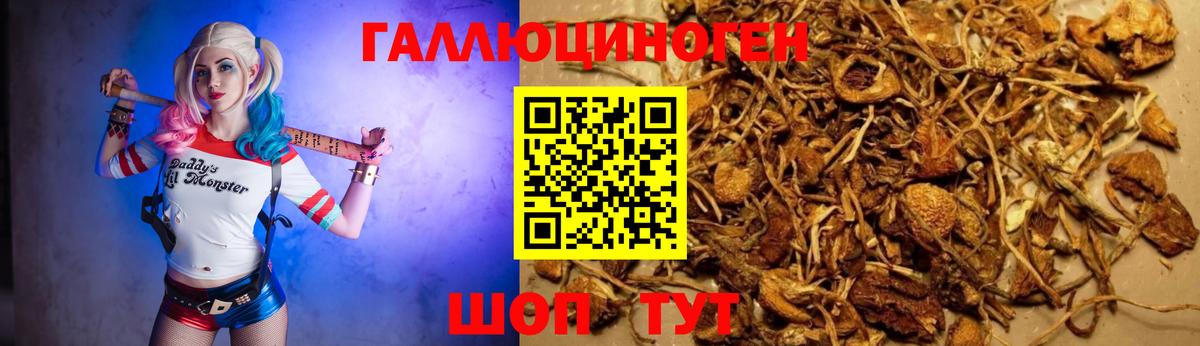 Галлюциногенные грибы GOLDEN TEACHER Оренбург